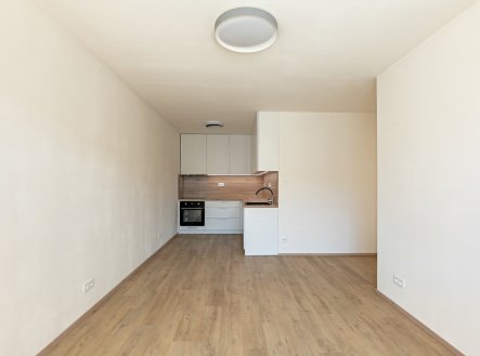 Prodej bytu, 2+kk, 45 m²