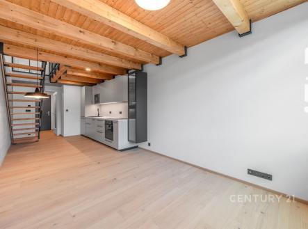 Pronájem bytu, 3+kk, 72 m²