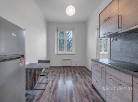 Pronájem bytu, 1+1, 39 m²