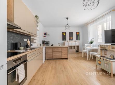 Prodej bytu, 2+kk, 67 m²