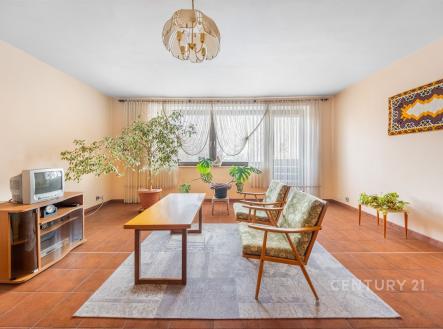 Prodej domu/vily, 320 m²