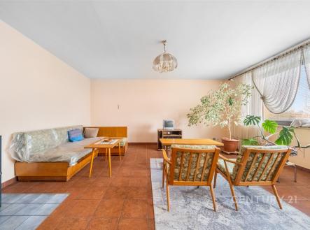 Prodej domu/vily, 320 m²