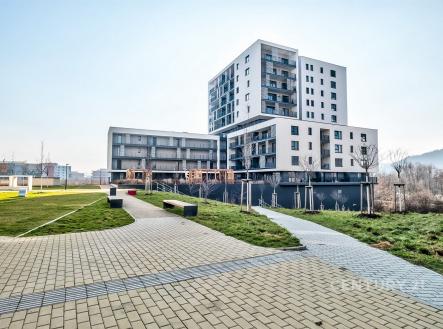 Pronájem bytu, 2+kk, 58 m²