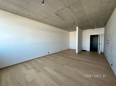 Prodej bytu, 1+kk, 45 m²