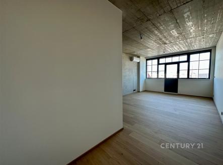 Prodej bytu, 1+kk, 45 m²