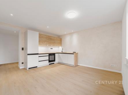 Prodej bytu, 3+kk, 60 m²