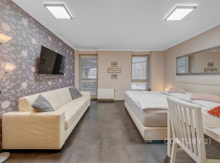 Prodej bytu, 1+kk, 32 m²