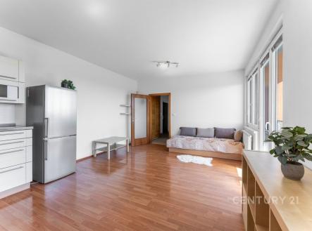 Prodej bytu, 1+kk, 40 m²