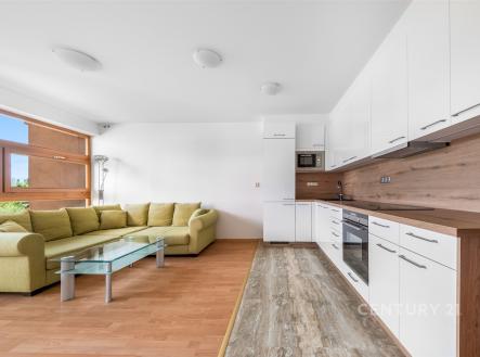 Pronájem bytu, 2+kk, 54 m²
