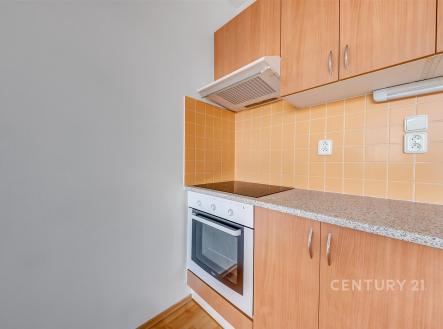 Pronájem bytu, 1+kk, 34 m²