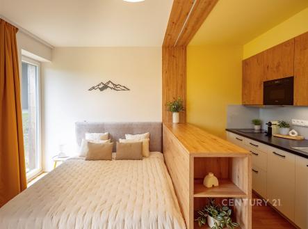 Prodej bytu, 1+kk, 27 m²