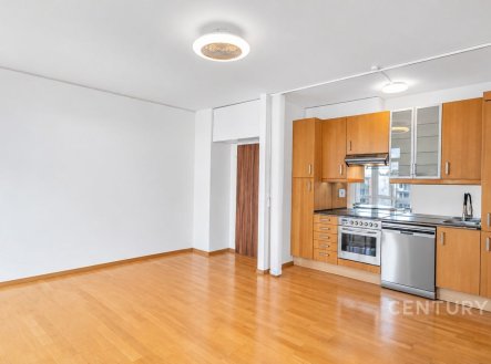 Pronájem bytu, 2+kk, 54 m²