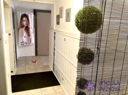 Pronájem obchodní prostor, 25 m²