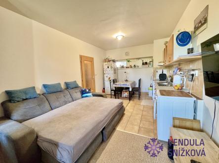 Pronájem bytu, 1+kk, 35 m²