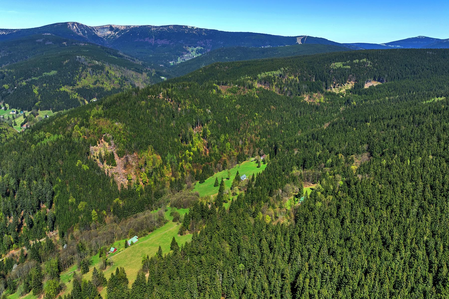 DJI_0201.jpg
