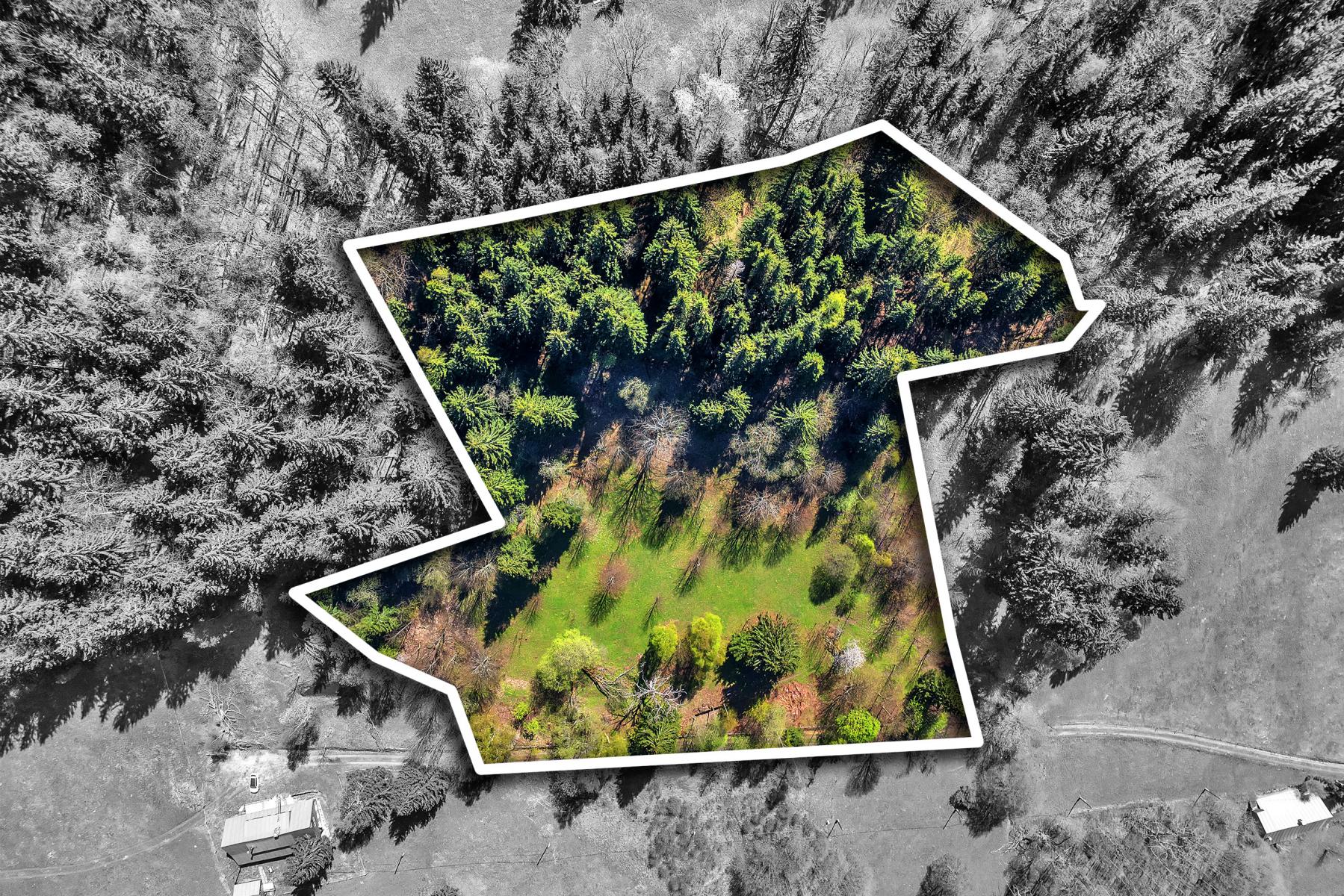 DJI_0152_1.jpg