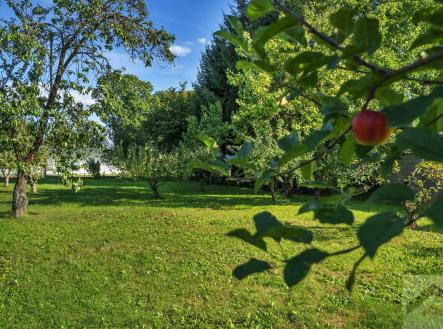 Prodej domu/vily, 256 m²