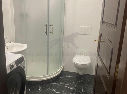 Pronájem bytu, 1+kk, 21 m²