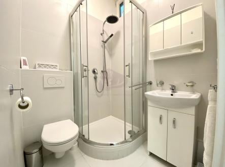 Pronájem bytu, 1+1, 50 m²