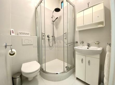 Pronájem bytu, 1+1, 50 m²