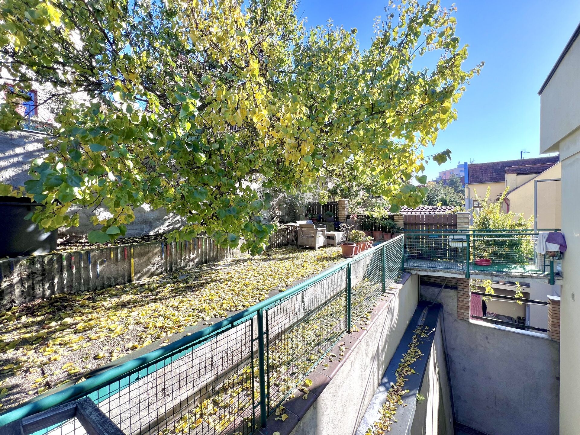 Fotku se nepodařilo načíst.