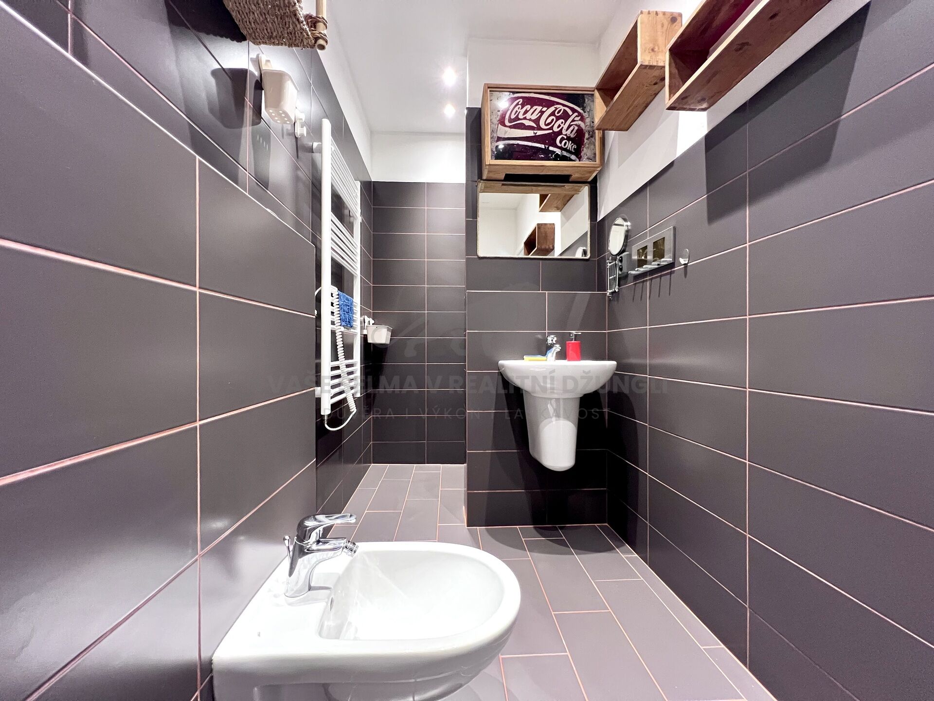 Fotku se nepodařilo načíst.