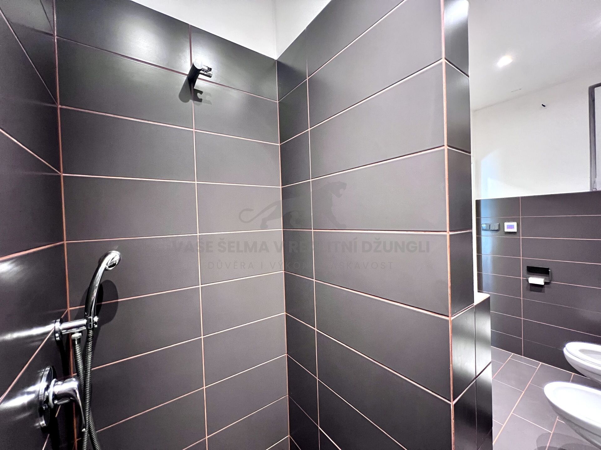 Fotku se nepodařilo načíst.