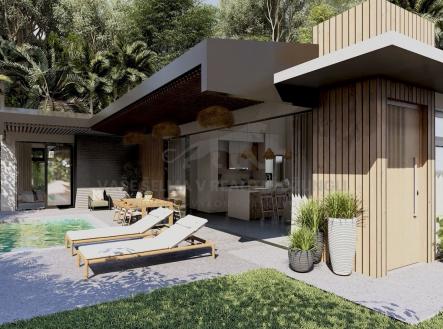 Orchid Casel de Paradise.