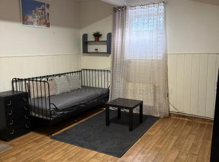 Pronájem bytu, jiný, 25 m²