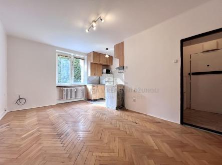 Pronájem bytu, 1+kk, 25 m²