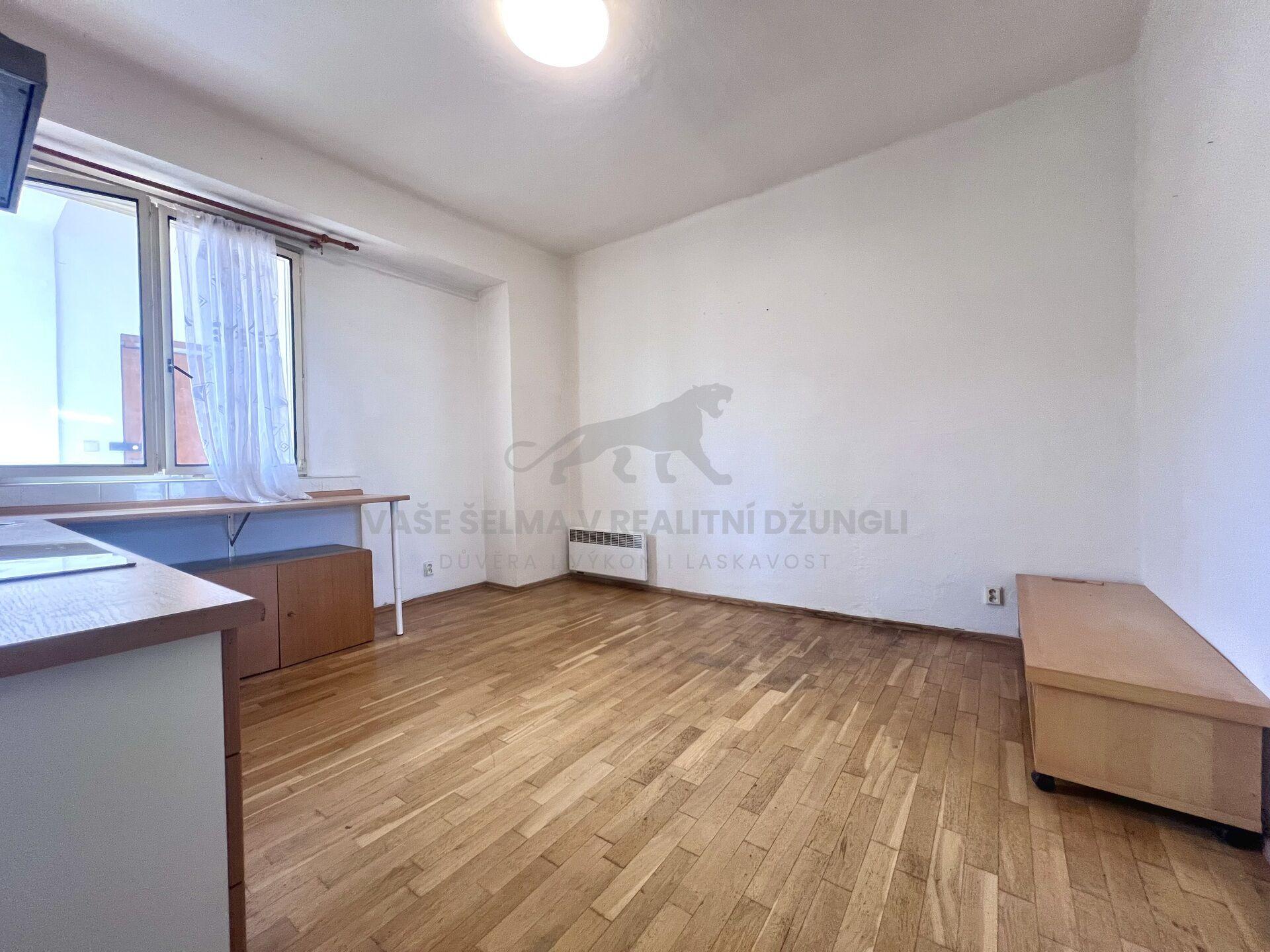 Starší byt 3+kk (72m2) se soukromou zasklenou Pavlačí (Žižkov)