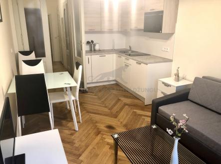 Pronájem bytu, 1+kk, 22 m²