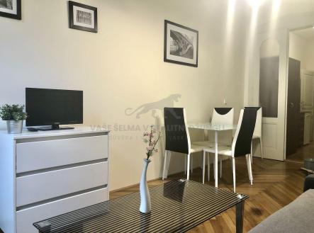 Pronájem bytu, 1+kk, 22 m²