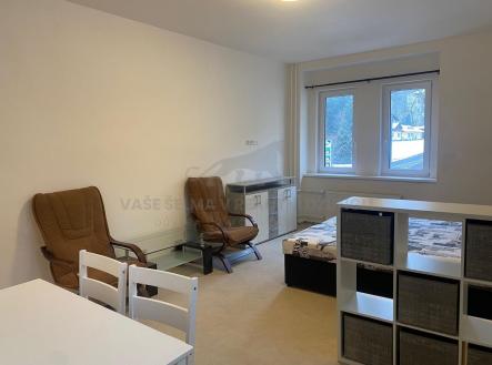 Pronájem bytu, 1+kk, 20 m²