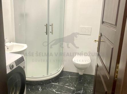 Pronájem bytu, 1+kk, 20 m²