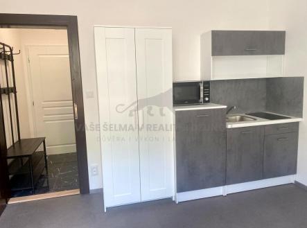 Pronájem bytu, 1+kk, 20 m²