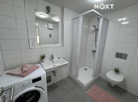 Pronájem bytu, 1+1, 65 m²