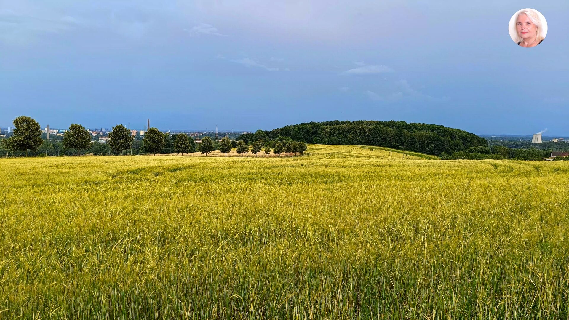 Investiční Pozemek 3621 m²  v Lukrativní Lokalitě Ostravy - Hošťálkovice