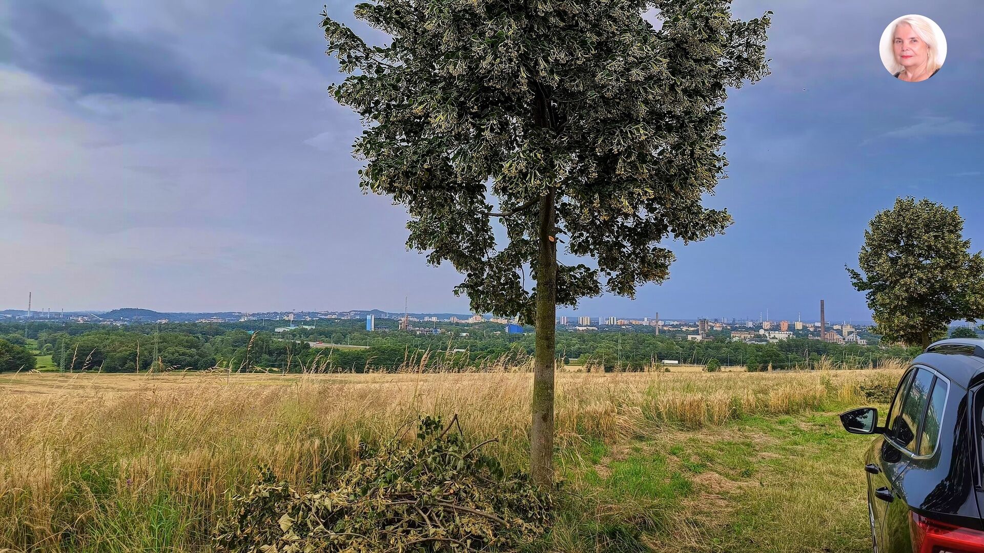 Investiční Pozemek 3621 m²  v Lukrativní Lokalitě Ostravy - Hošťálkovice