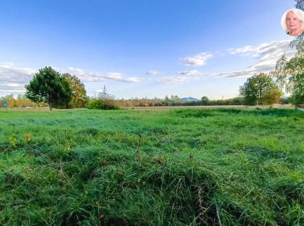 Prodej - pozemek pro bydlení, 1 000 m²