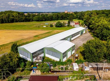 Pronájem komerčního objektu, sklad, 1 398 m²