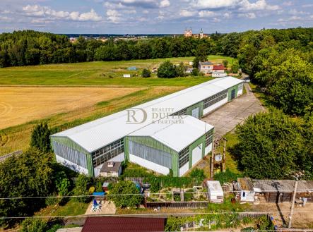 Pronájem komerčního objektu, sklad, 908 m²