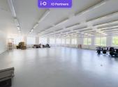 Pronájem výrobní prostor, 4 038 m²