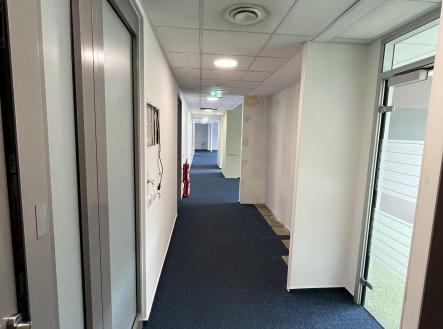 Pronájem kanceláře, 360 m²