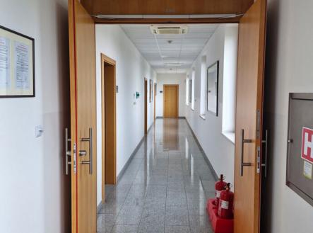 Pronájem kanceláře, 350 m²