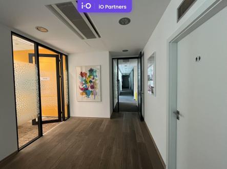 Pronájem kanceláře, 466 m²