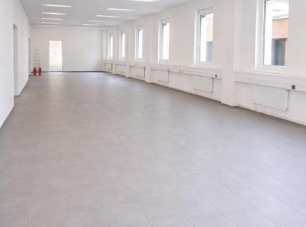 Pronájem obchodní prostor