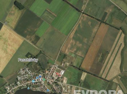 Prodej - pozemek, zahrada, 5 400 m²