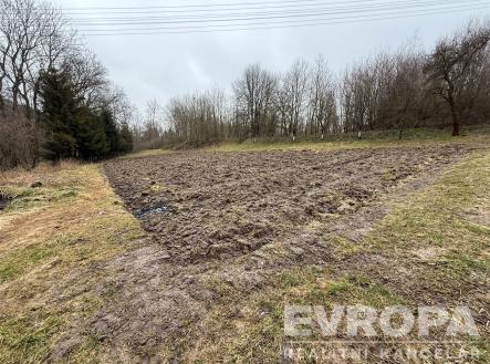 Prodej - pozemek, trvalý travní porost, 1 647 m²