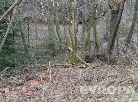 Prodej - pozemek, trvalý travní porost, 1 647 m²